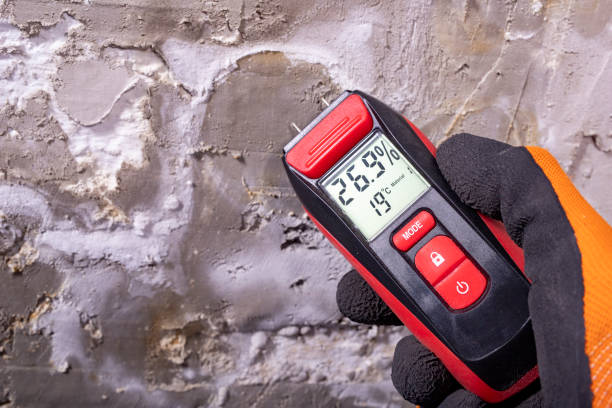 Best Residential Mold Remediation in Okanogan, WA