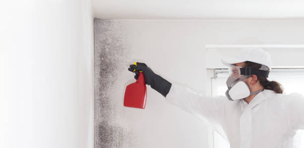 Best Industrial Mold Remediation in Okanogan, WA